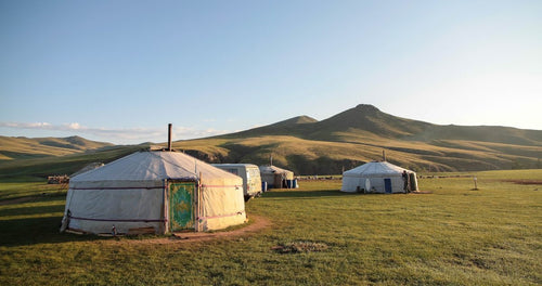 Mongolia Tours: Your Guide to Choosing the Right Adventure