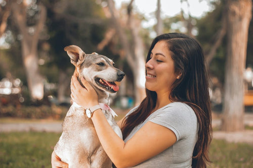 Pets in ASL: Common Signs for Animal Lovers