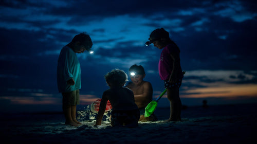 The Playful Path to Learning: How Toys Shape Children’s Development