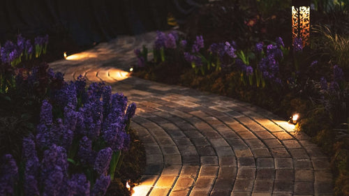 Garden Solar Lights: A Practical Guide to Choosing the Right Ones