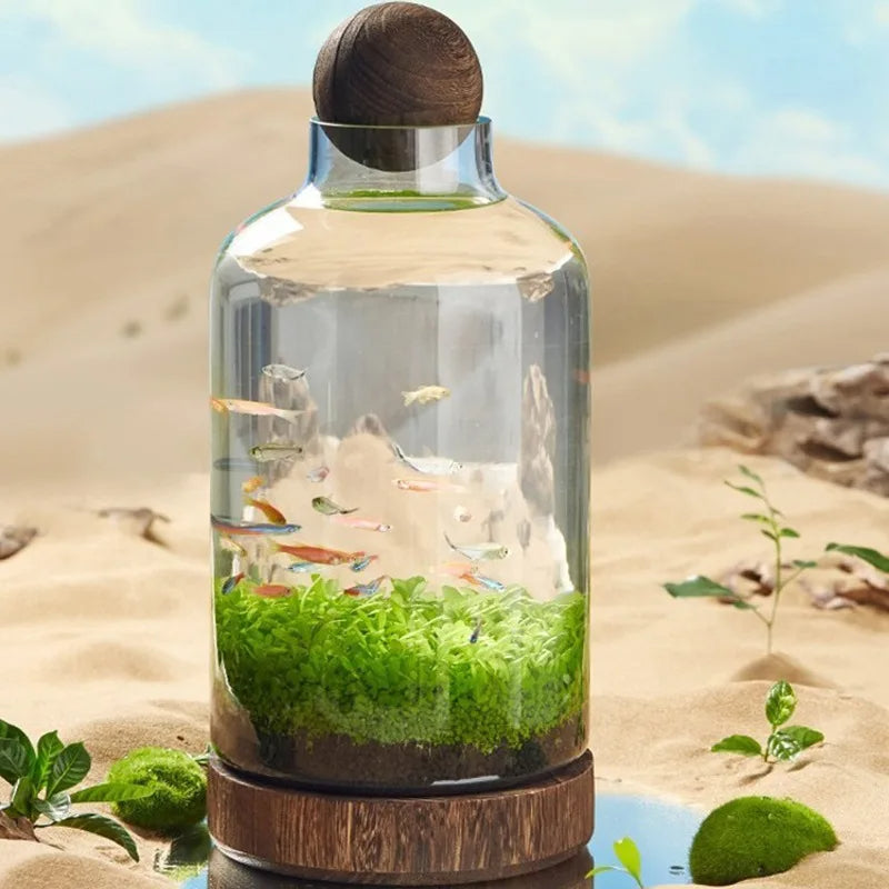 Micro Aquarium Compact Glass Ecological Fish Tank - Image 4