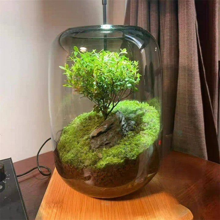 Micro Landscape Green Oasis Glass Vase - Image 5