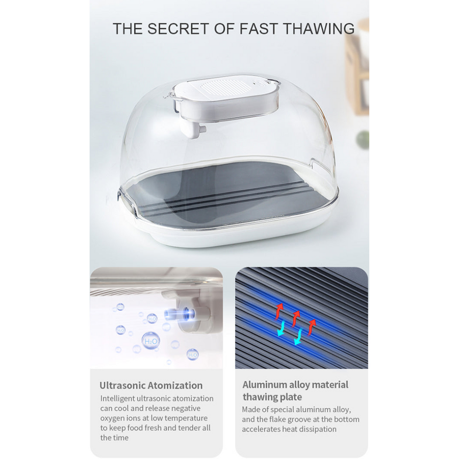 Smart Quick Defrosting Box Machine - Image 4