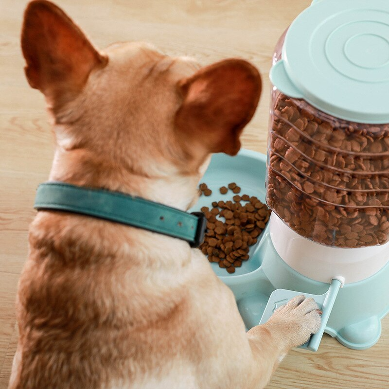 Interactive Push Type Pet Feeder - Image 1