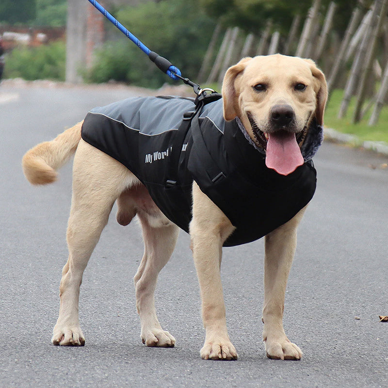 Waterproof Winter Dog Jackets - Image 1