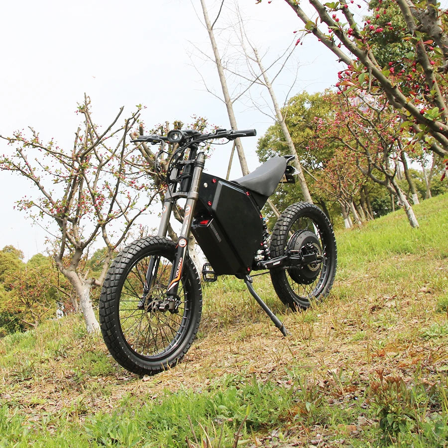 Powerful Mountain Beast Off-Road Adventure Electric Bike - Image 0