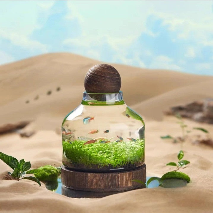 Micro Aquarium Compact Glass Ecological Fish Tank - Image 5