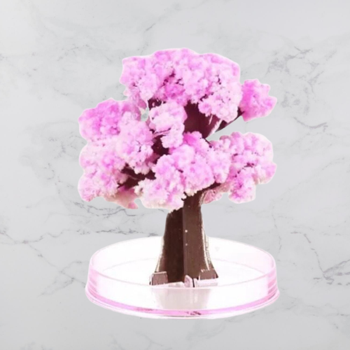 DIY Magic Growing Christmas Tree - Image 13