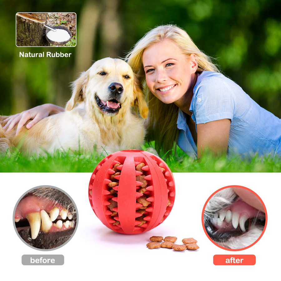 Dog Interactive Tooth Cleaning Toy Balls - Image 1