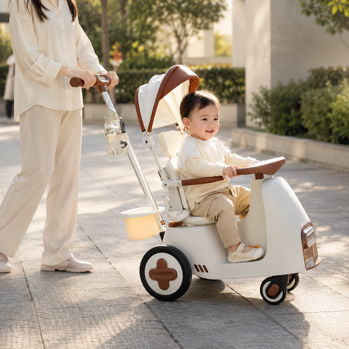 Little Rider Rocking Baby Stroller