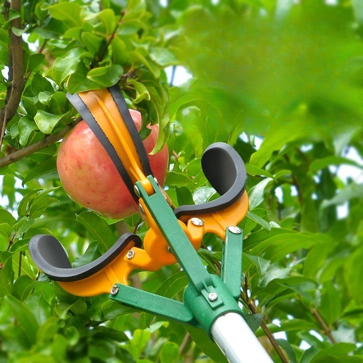 Sky High Telescopic Handle Fruit Picker - Image 3