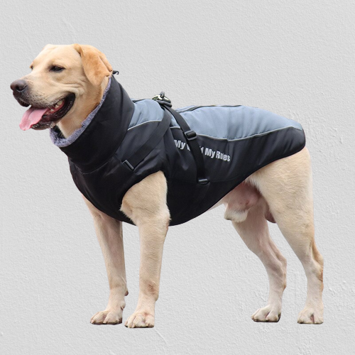 Waterproof Winter Dog Jackets - Image 0