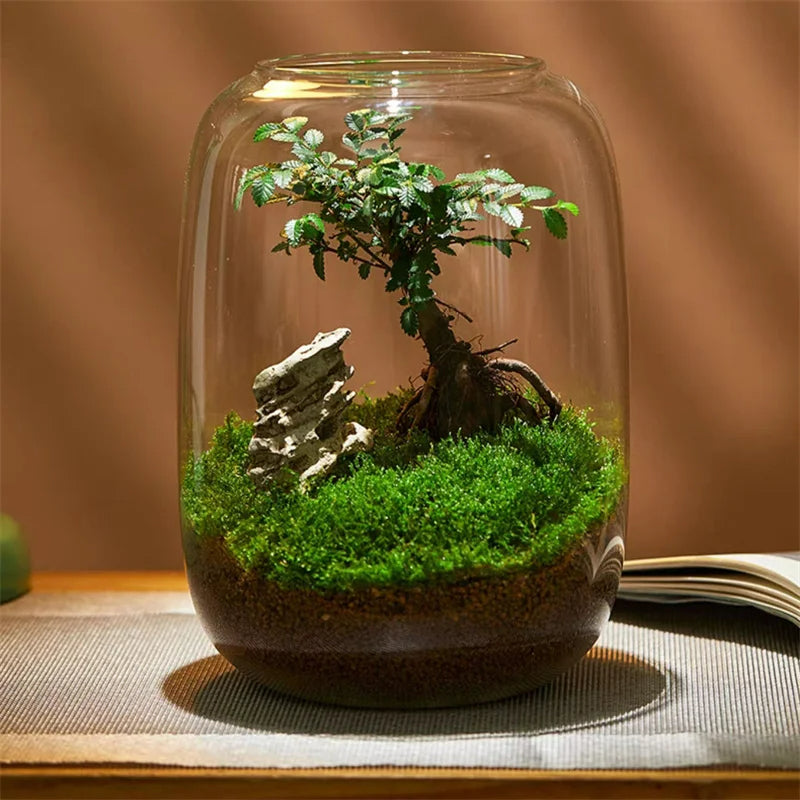 Micro Landscape Green Oasis Glass Vase - Image 4