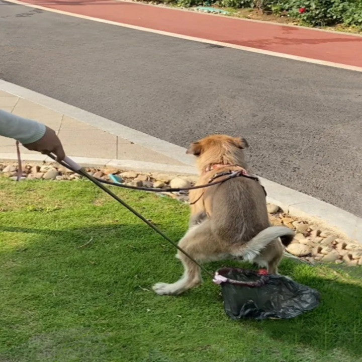 Telescopic Outdoor Pet Waste Scooper - Image 2