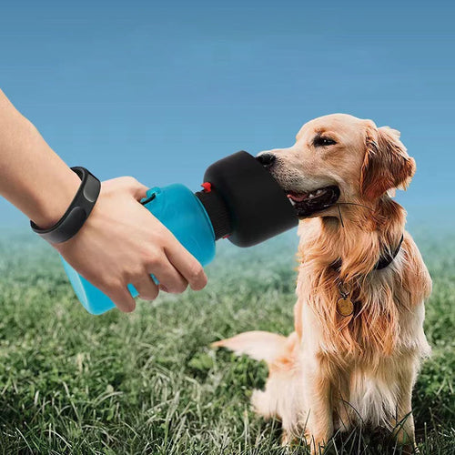 2in1 Foldable Travel Pet Water Bottle - Image 0
