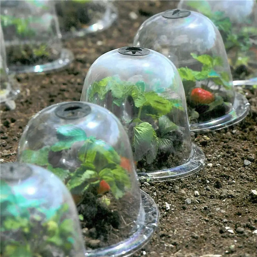 Frost Protection Clear Garden Plant Cover - Image 0