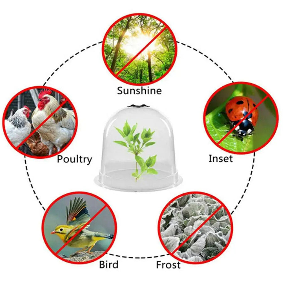 Frost Protection Clear Garden Plant Cover - Image 4