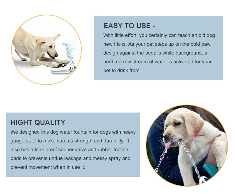 Doggie Water Fountain - Image 3
