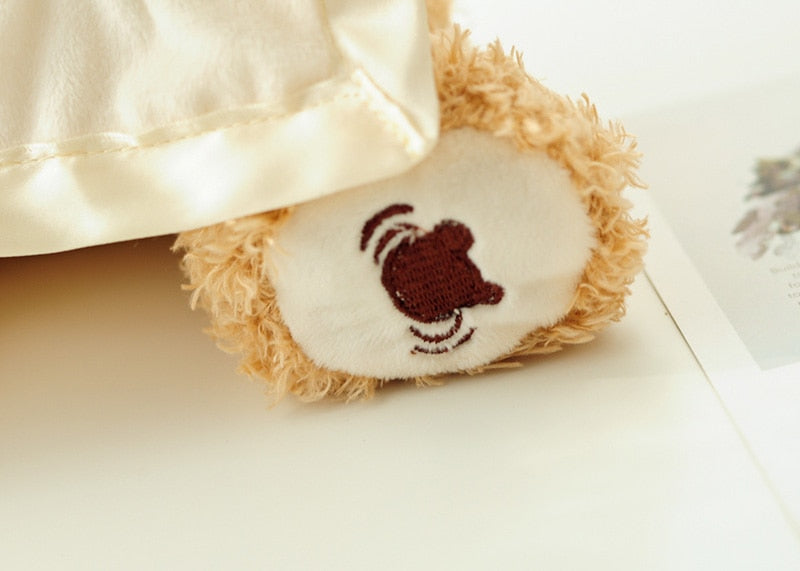Interactive Peek a Boo Bear Kids Toy - Image 9