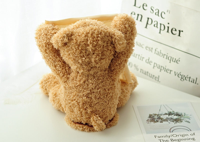 Interactive Peek a Boo Bear Kids Toy - Image 11