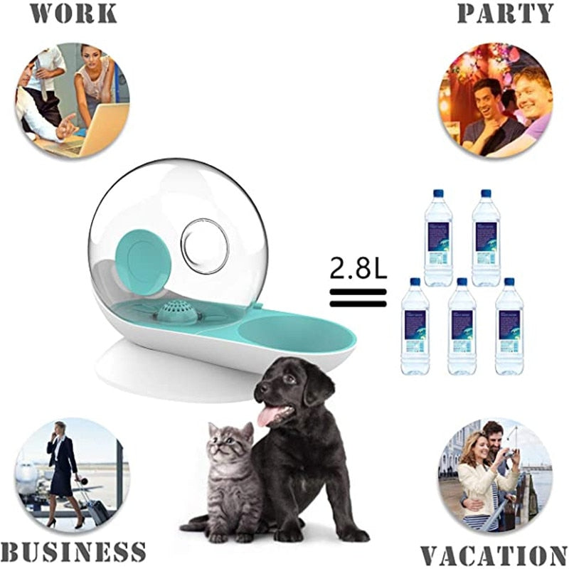 Automatic Smart Cat Water Fountain Bowl - Image 2