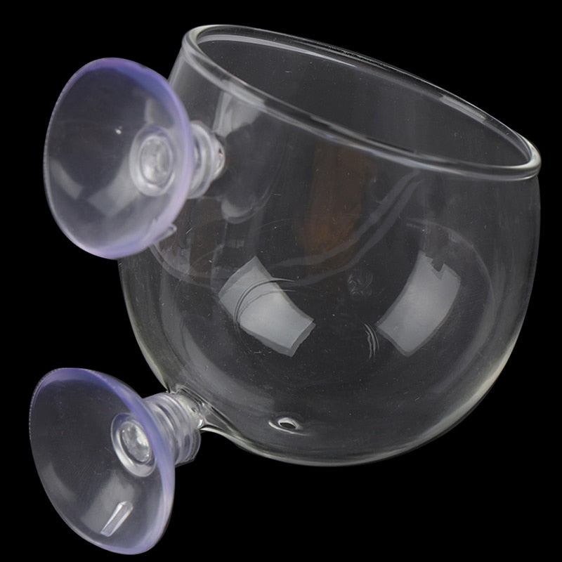 Creative Aquarium Fish Tank Glass Vase - Image 1