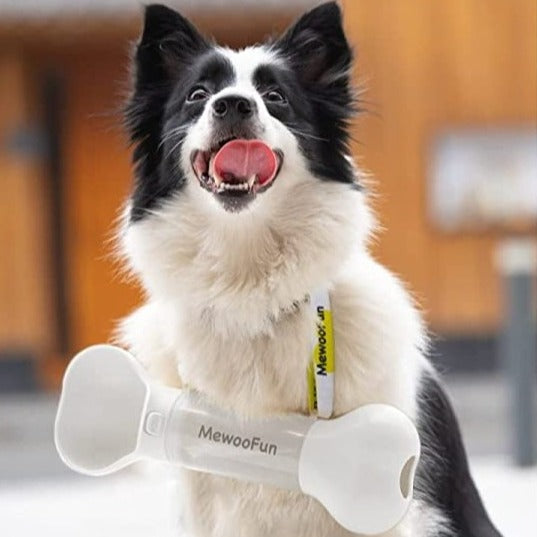 Bone Shape Pet Water Bottle - Image 0