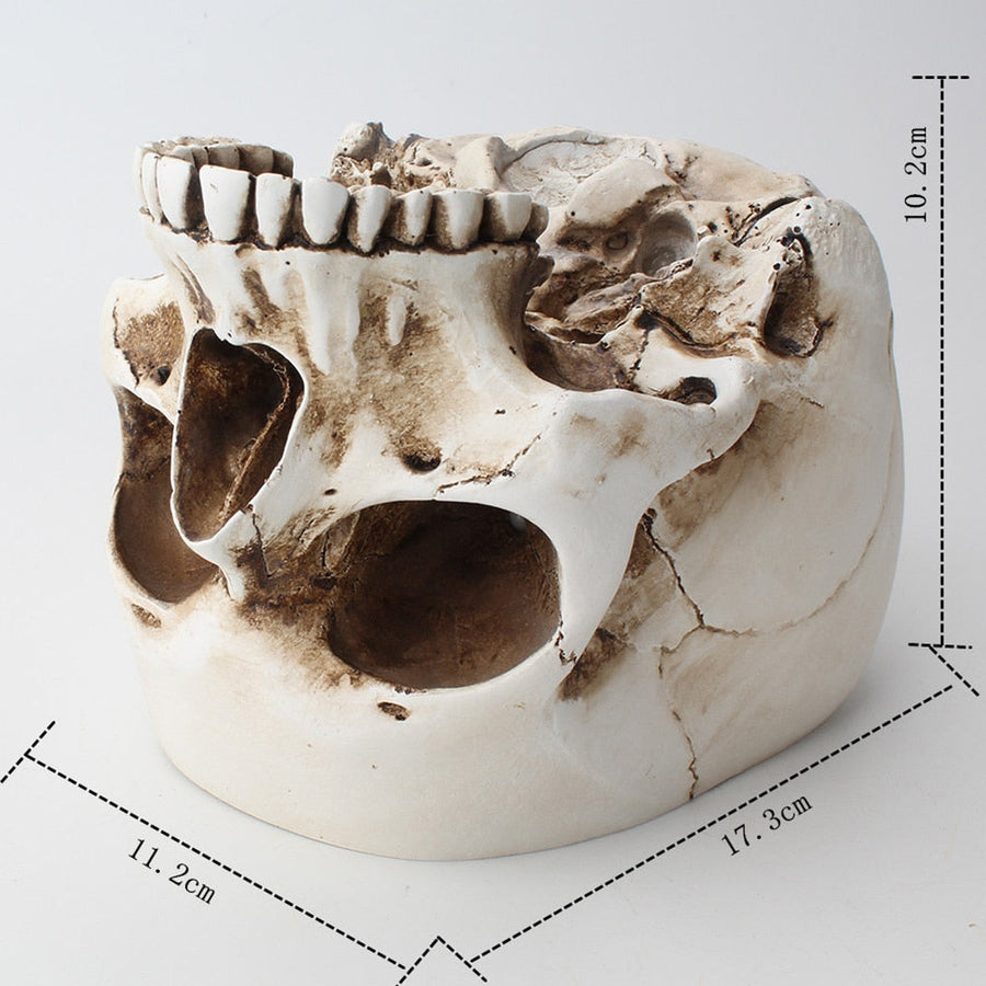 Impressive Realistic Skull Flower Vase - Image 14
