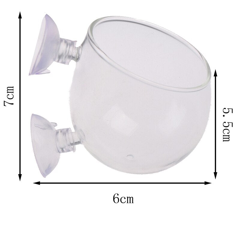 Creative Aquarium Fish Tank Glass Vase - Image 6