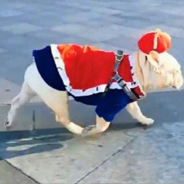 King Cute Pet Costume - Image 2