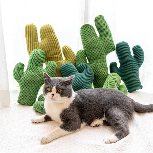 Cactus Pet Chewing Toy - Image 0