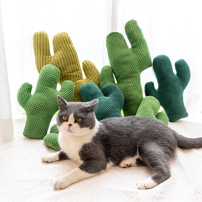 Cactus Pet Chewing Toy - Image 0