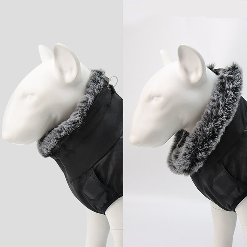 Waterproof Winter Dog Jackets - Image 12