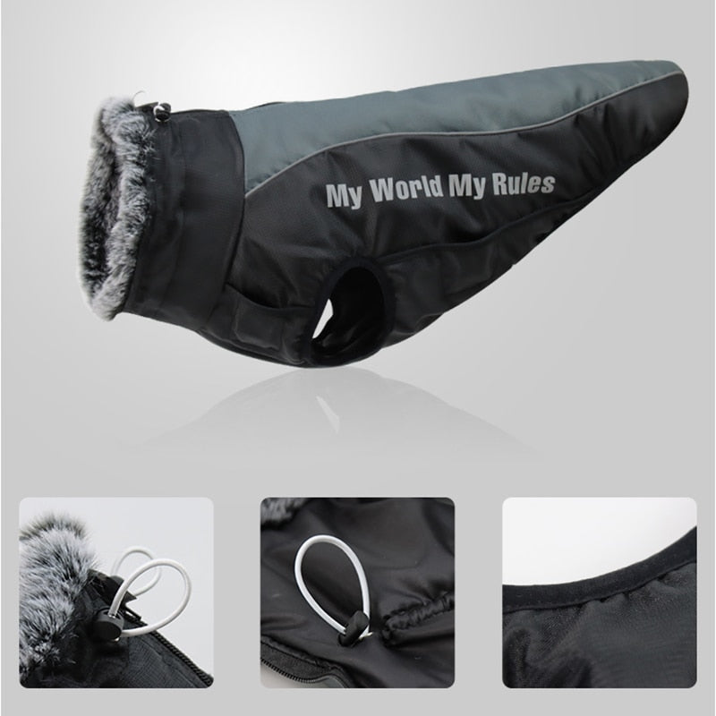 Waterproof Winter Dog Jackets - Image 5