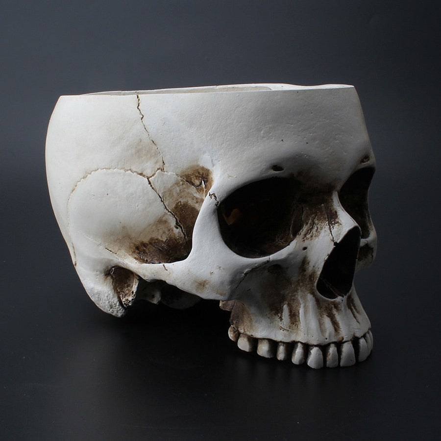 Impressive Realistic Skull Flower Vase - Image 8