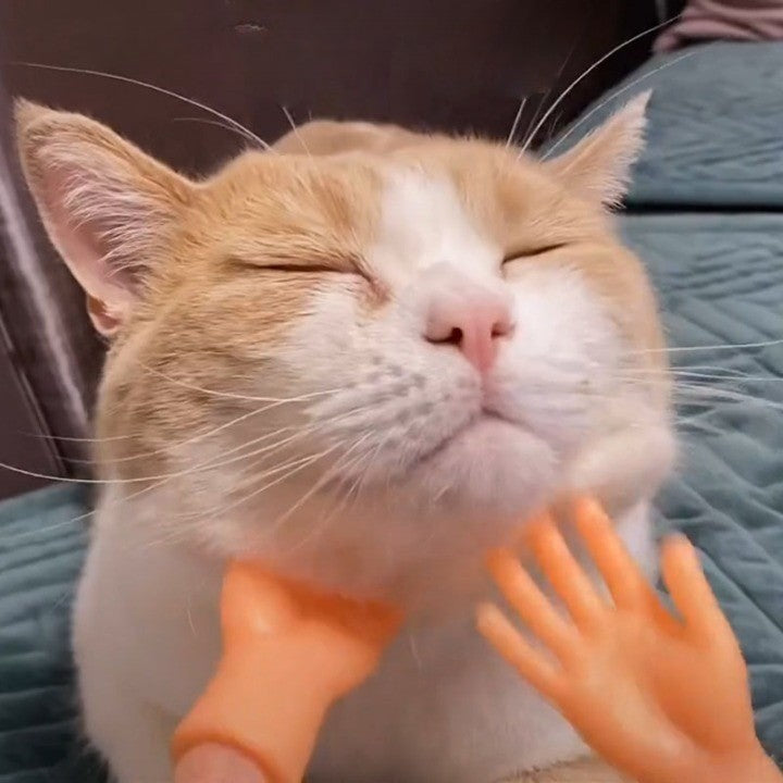 Mini Interactive Rubber Hands - Image 0