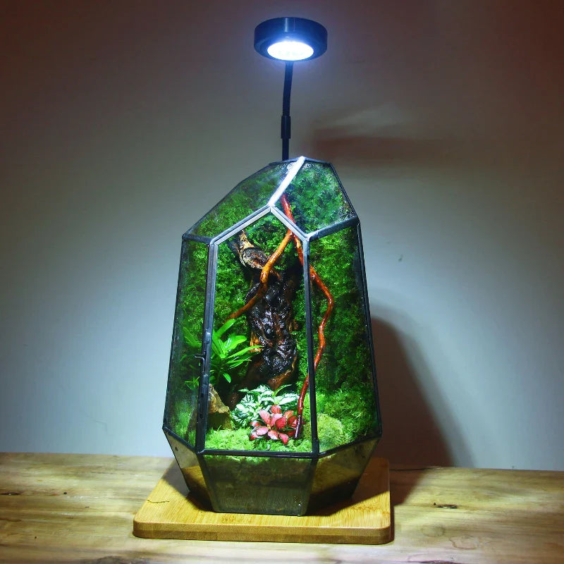 Modern Geometric Nature-Inspired Botanical Terrarium - Image 3