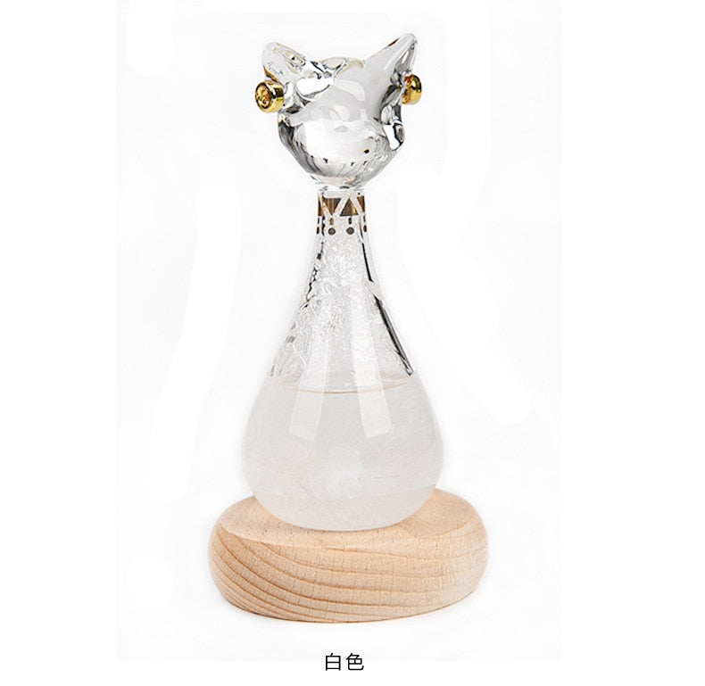 Cat-Inspired Weather Forecast Bottle - Image 3