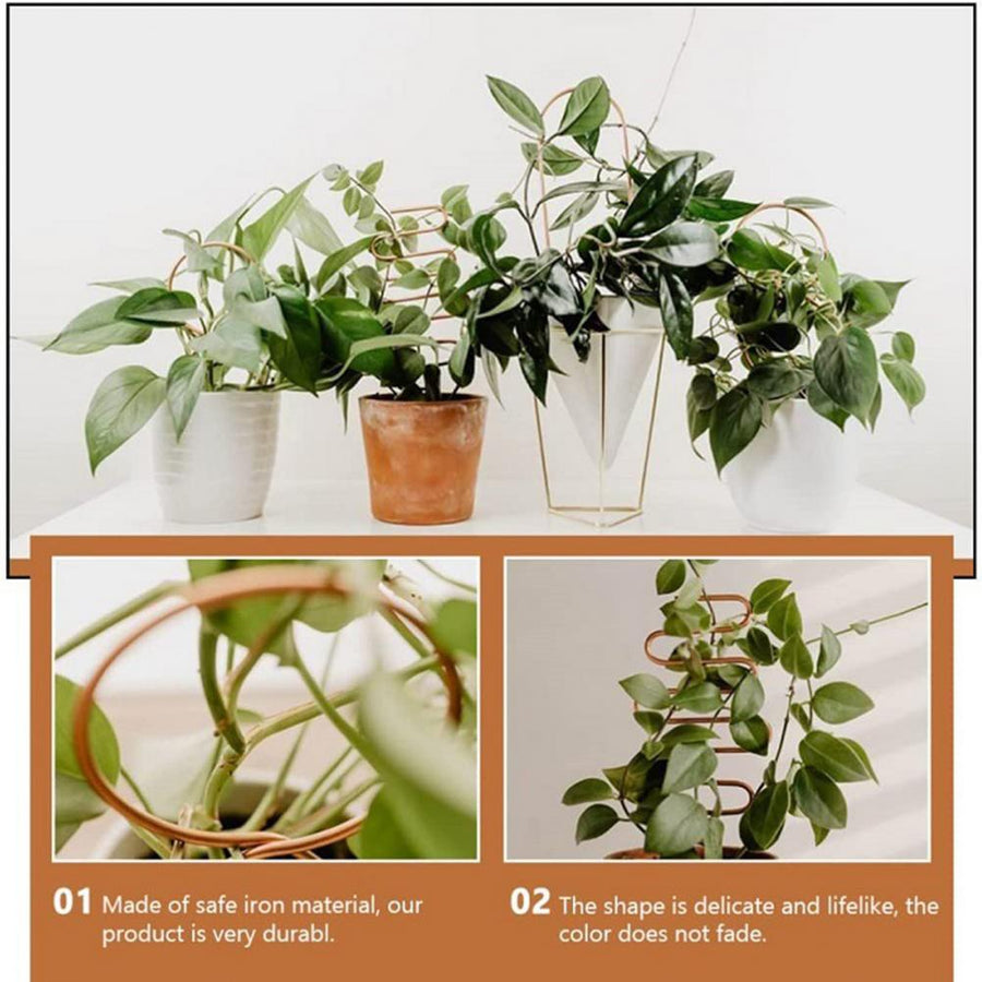 Nordic Plant Climbing Rack - Image 2