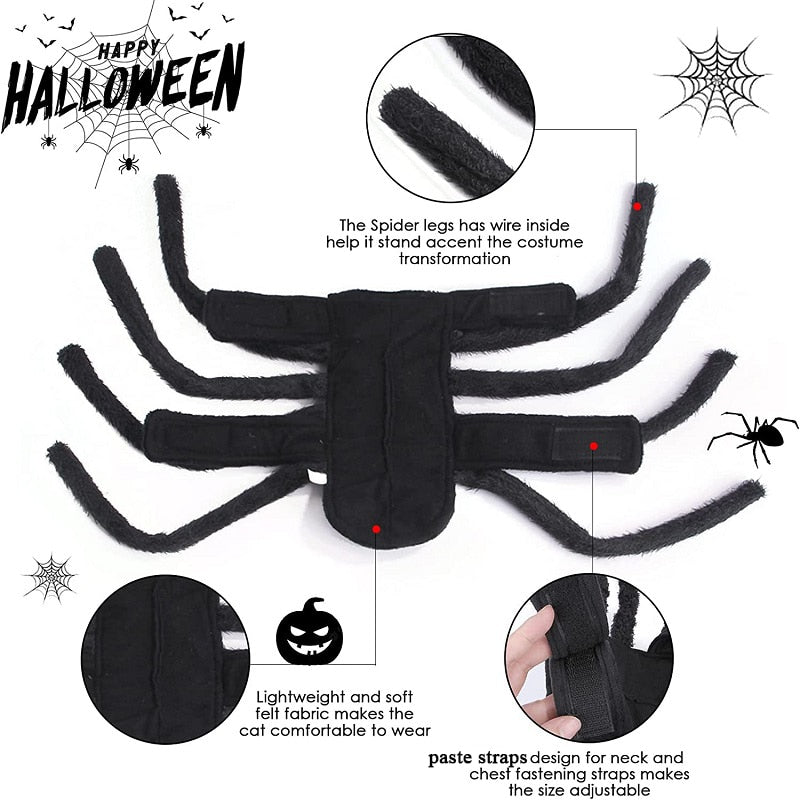 Black Spider Pet Costume - Image 3