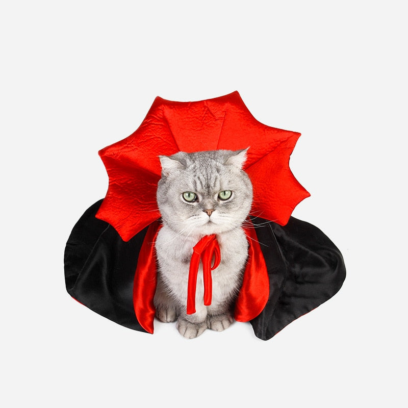 Vampire Cat Halloween Costume - Image 5