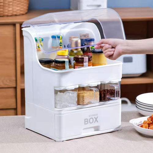 MultiFunctional Double Rack Spice Organizer - Image 0