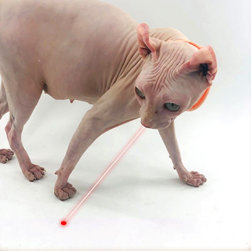 Laser Pointer Flashlight Cat Toy - Image 1