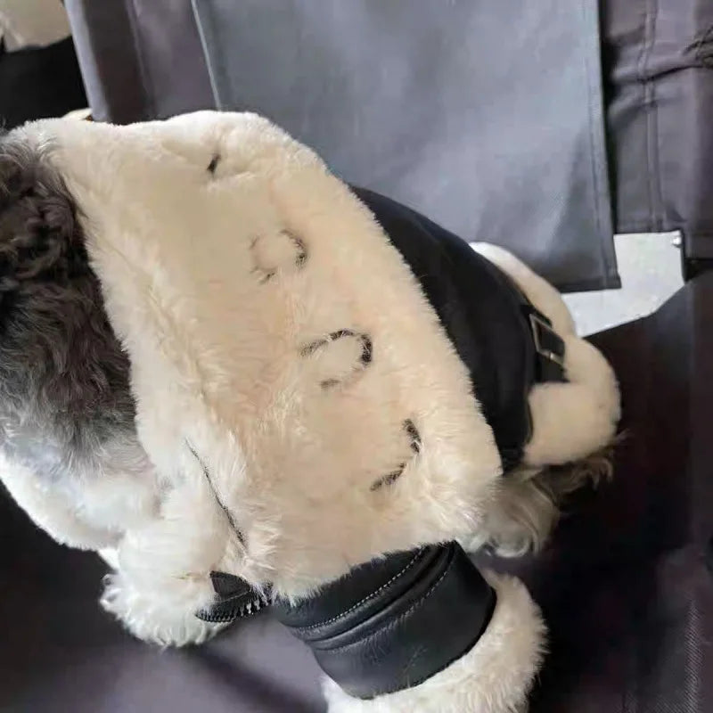 Biker Motorcycle Cotton Dog Coat - Image 1
