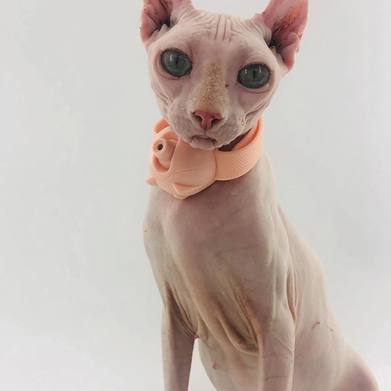 Laser Pointer Flashlight Cat Toy - Image 0