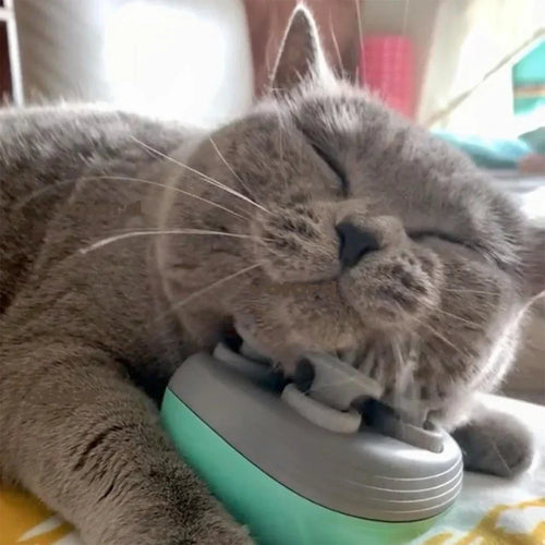 Electric Relax Cat Massager - Image 0