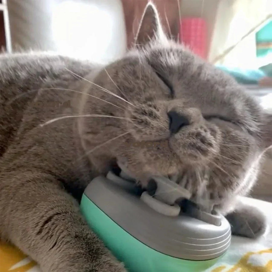 Electric Relax Cat Massager - Image 0