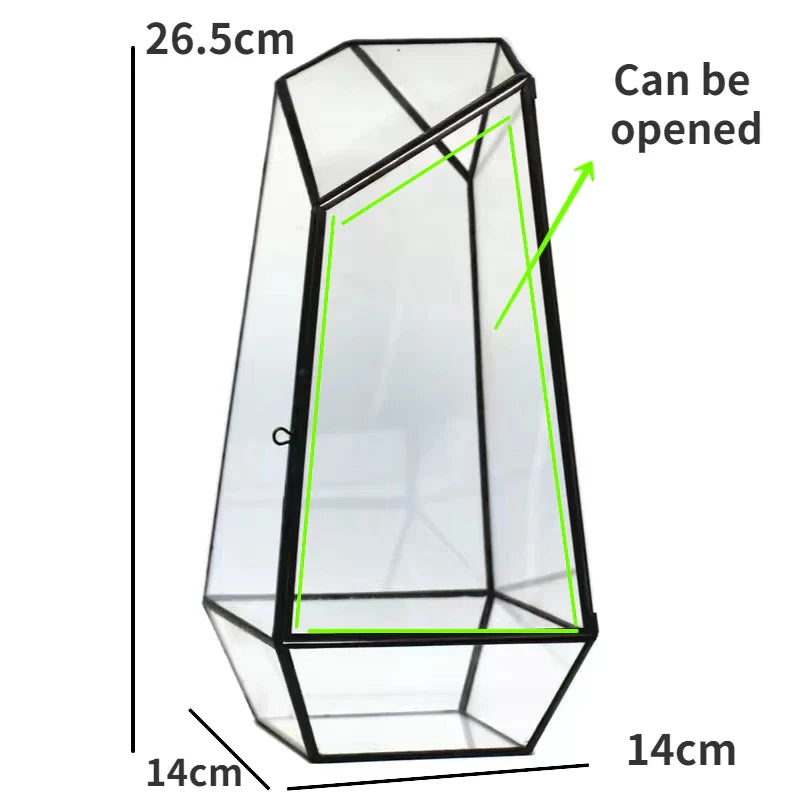 Modern Geometric Nature-Inspired Botanical Terrarium - Image 5