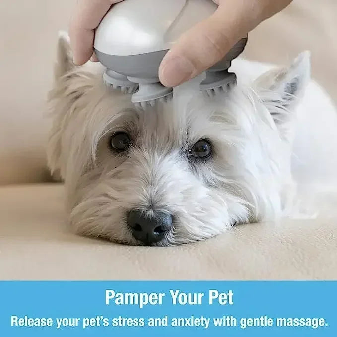 Electric Relax Cat Massager - Image 1