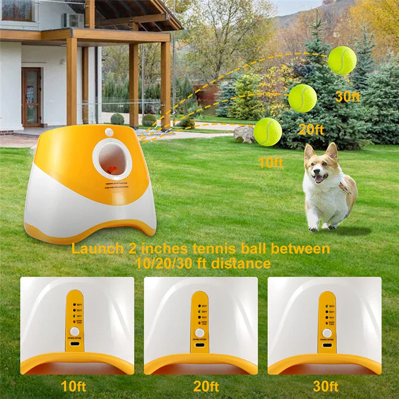 Pet Interactive Automatic Ball Launcher - Image 1
